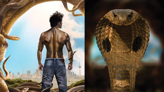 Naagzilla: Kartik Aaryan to Star as Shape-Shifting Serpent in Bold Fantasy Thriller!