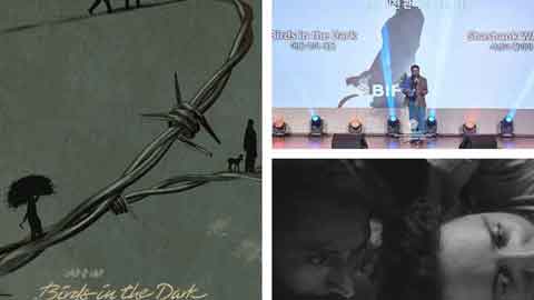 birds-dark-wins2
