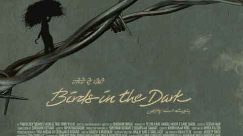 birds-in-the-dark1