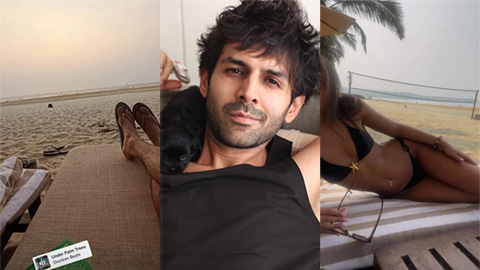kartik-aaryan-karina-k