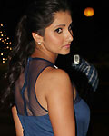 Sania Mirza at Abhinav-Ashima Wedding Reception