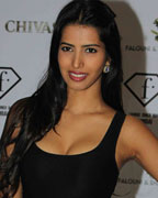 Falguni and Shane Peacock Bash