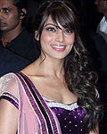 Bipasha Basu at Mahek Navin Wedding Reception