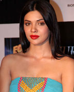 Sara Loren at Murder 3 Music Success Bash