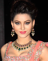 Urvashi Rautela at Tulsi Kumar and Hitesh Wedding Reception