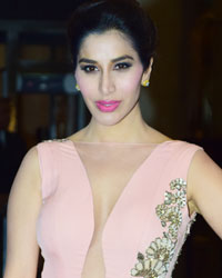 Sophie Choudry at Wedding Reception of Preity Zinta