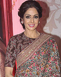 Sridevi at 3rd National Yash Chopra Memorial Award