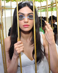 Adah Sharma Adah Sharma