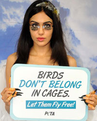 Adah Sharma Adah Sharma