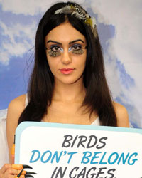 Adah Sharma Adah Sharma