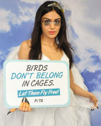 Adah Sharma Adah Sharma