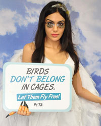 Adah Sharma Adah Sharma