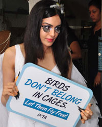 Adah Sharma Adah Sharma