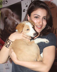 Soha Ali Khan at Animal Adoption Drive