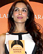 Bonsai Kitten Book Launch Bonsai Kitten Book Launch