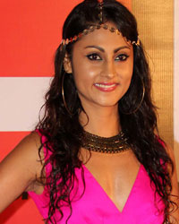 Celebrity Cricket League 4 Press Meet