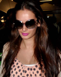 Evelyn Sharma at Celebs Arrive From IIFA 2013