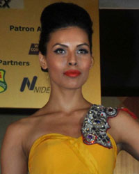 Deepti Gujral at Global India 2013 Awards