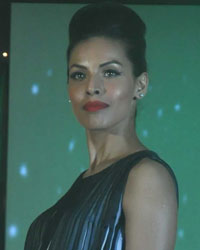 Deepti Gujral at Global India 2013 Awards