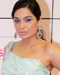 Meera at HUM Awards 2014