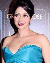 Sridevi at IIFA Awards 2013