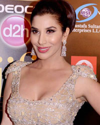 Sophie Choudhary at IIFA Awards 2013