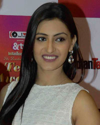 Indian Telly Awards 2015 Indian Telly Awards 2015