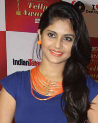 Indian Telly Awards 2015 Indian Telly Awards 2015