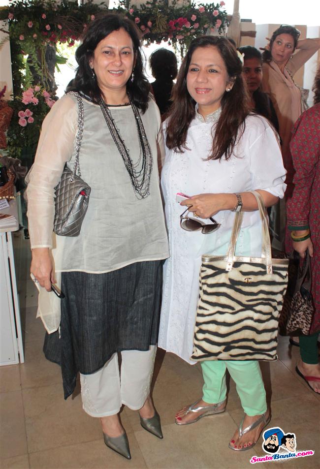 'Mana Shetty' Araaish Exhibition