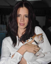Kalki Koechlin at Pet Adoption 2013