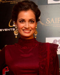 Diya Mirza at SAIFTA Awards 2013