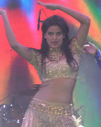 Saifai Mahotsav 2015 Saifai Mahotsav 2015