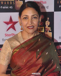 Star Screen Awards 2015 Star Screen Awards 2015