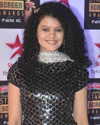 Star Screen Awards 2015 Star Screen Awards 2015