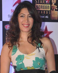 Star Screen Awards 2015 Star Screen Awards 2015