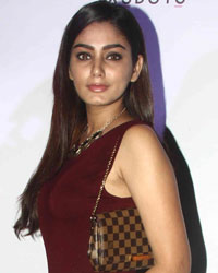 Telly Calendar 2016 Announcement Telly Calendar 2016 Announcement