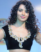 Telly Calender 2013 Launch Telly Calender 2013 Launch