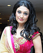 Telly Calender 2013 Launch Telly Calender 2013 Launch