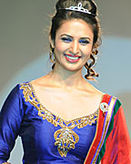 Telly Calender 2013 Launch Telly Calender 2013 Launch