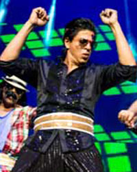 Shah Rukh Khan at Temptation Reloaded 2013 Auckland