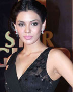 The 8th Edition of Renault Star Guild Awards