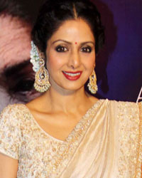 Sridevi at Yash Chopra Memorial Awards