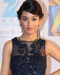 Amrita Rao at Zee Cine Awards 2014