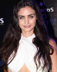 Blackberry Sharp Nights Blackberry Sharp Nights