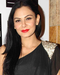 Aanchal Kumar at Guests at LFW 2013