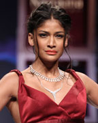 Carol Gracias at IIJW 2013