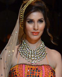 Sophie Choudhary at India Bridal Fashion Week 2013