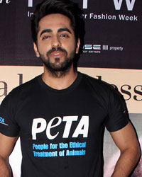 Ayushmann Khurrana at India Resortwear Fashion Week 2013