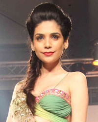 Lakme Fashion Week Winter Festive 2013