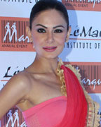 Aanchal Kumar at LeMark Institute of Art Fashion Show 2013